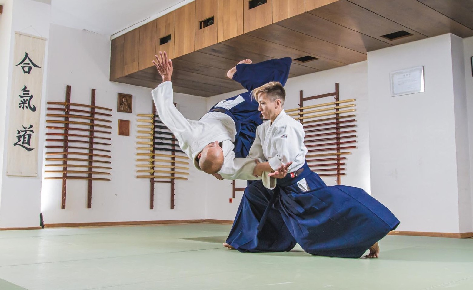 Aikido foto suting-101